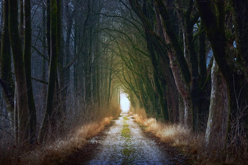 Fairytale setting